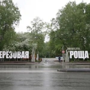 Березовая 19 новосибирск