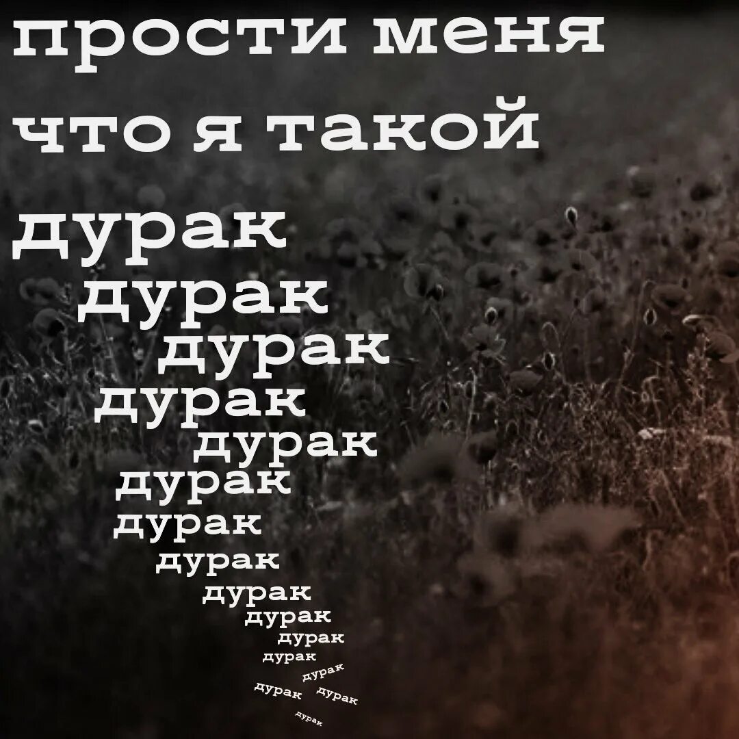 Давай просто пой. Прости любимая. Прости меня. Прости меня милая. Прости меня дурака любимая.