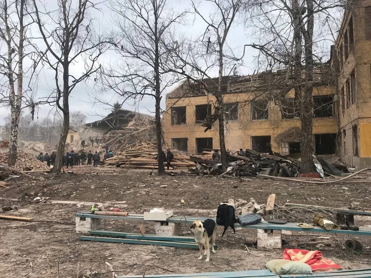 Разрушенный дом. Разрушенный город. Донбасс и Луганск разрушенные города в 2014. Разгром украины 2024