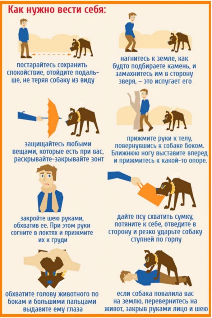 Как защититься от собак на улице. Памятки от бездомных собак. Средства защиты от собак. Защита для собак от собак. Как защищаться от стаи собак.