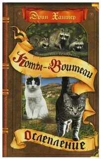 Хантер коты воители
