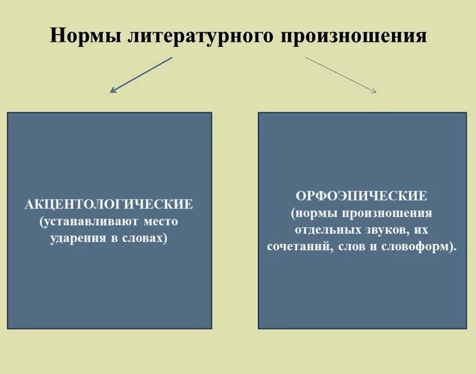 Орфоэпические варианты слов. Основные нормы современного литературного произношения и ударения. Основные нормы современного литературного произношения. Литературные нормы произношения и ударения. Нормы литературного произношения в русском языке.