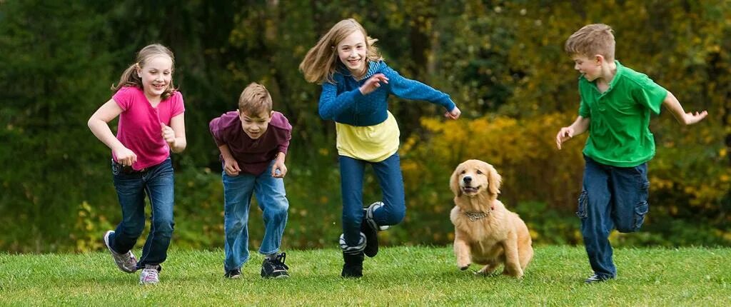 Kind pets. Прогулка в парке с детьми. Дети на прогулке. Прогулка с ребенком и собакой. Прогулки на свежем воздухе.