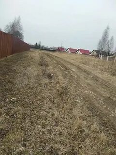 Автобус шаховская черленково