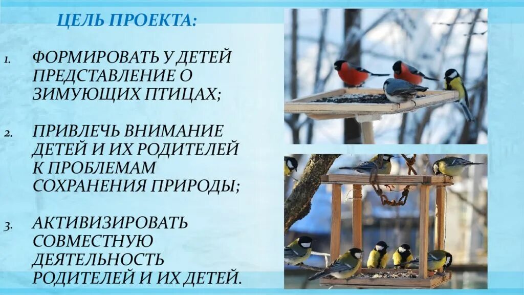 Акция покормите птиц зимой отчет. Покормите птиц зимой. акция покормите птиц зимой в детском саду. накорми зимующих птиц. экологическая акция покормите птиц зимой в школе.