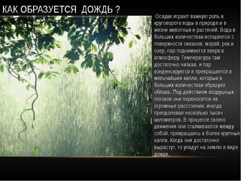 Прошло немного времени роса испарилась. Презентация на тему дождь. Презентация на тему дождик. Рассказ о Дожде. Дождь для презентации.