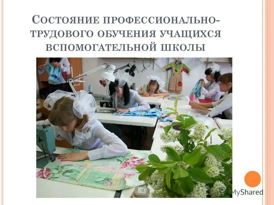 Программа трудового обучения в школе. Программа трудового обучения в школе. Методика преподавания в коррекционной школе 8 вида. Виды трудового обучения. Образовательная программа по технологии.