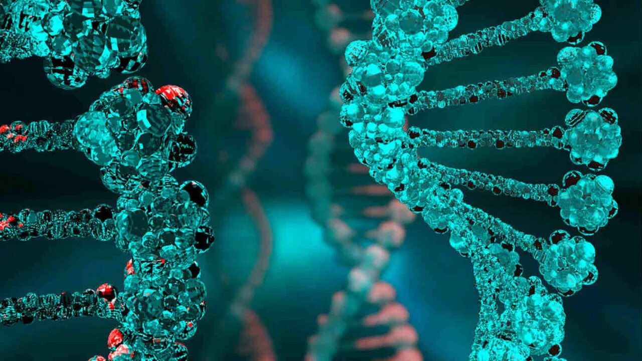 Кислота гена 3. Метаболизм катехоламинов схема. Глутаматдегидрогеназа структура белка. Альфа-лактальбумин что это. Глутаматдекарбоксилаза бета клеток.