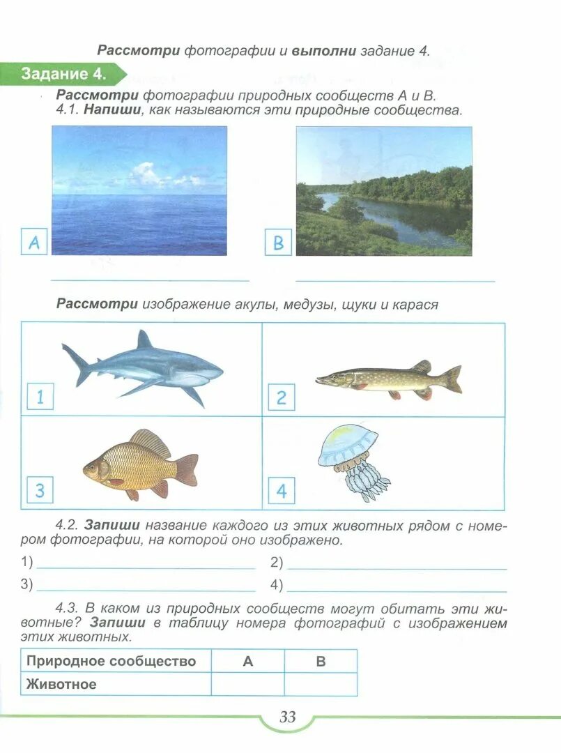 Тест русалочка 4 класс школа россии. ВПР 3 класс окружающий мир. Учусь работать с текстом 2 класс Шейкина. Красота моря 2 класс окружающий мир рабочая тетрадь 2. Описание красоты моря 2 класс окружающий мир рабочая тетрадь.