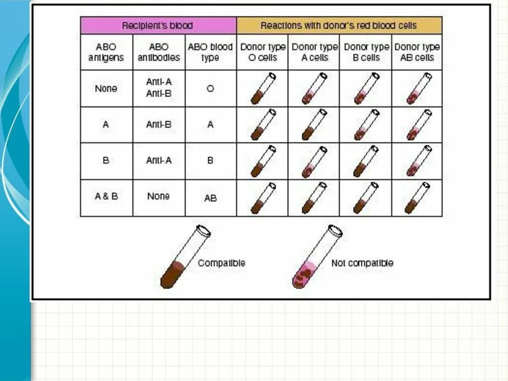 Cross match. Cross Match реакция. Cross Match тест. Cross-Match тест при трансплантации. Blood Type Compatibility.