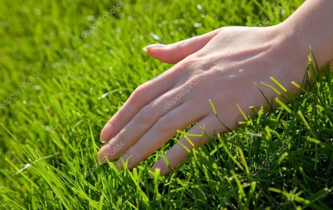 Трогать траву. Ладони с травами. Трава в руке. Руки в траве Эстетика. О какой траве идет речь