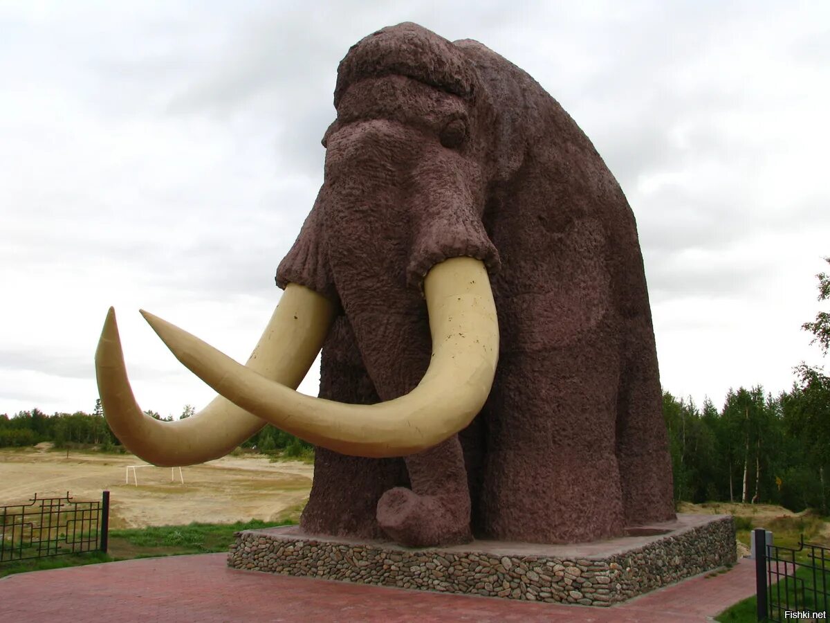 Бронзовый мамонт Салехард. Памятник мамонту в Салехарде. Памятники Мамонтов в Салехарде. Памятник мамонту Ямало Ненецкий автономный округ. Салехард животный