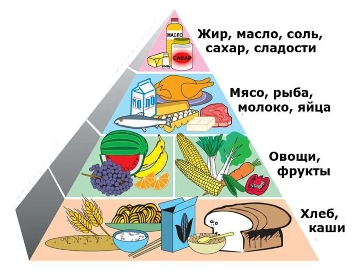 Пища урок