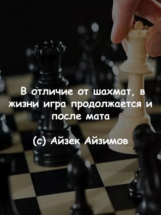 Что есть наша жизнь игра. Афоризмы про шахматы. жизнь игра цитаты. высказывания о шахматах. цитаты про шахматы.