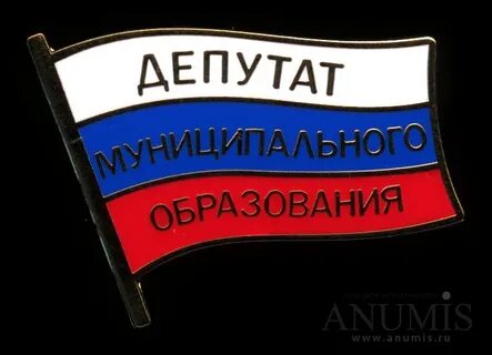 Муниципальный депутат предложил