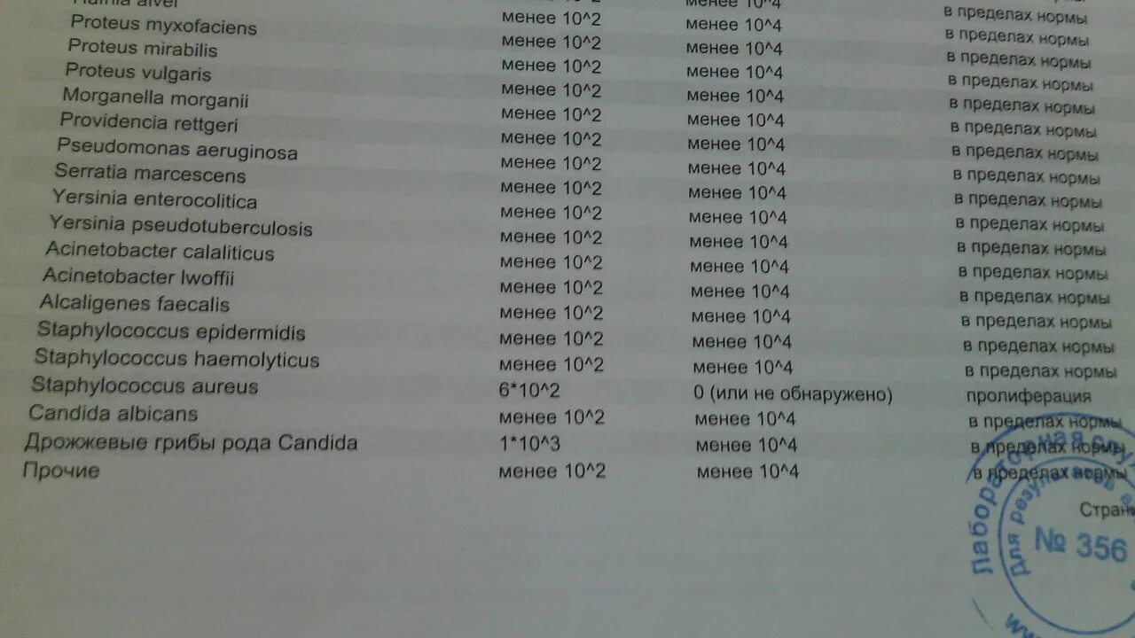 Staphylococcus aureus 10 5. Staphylococcus aureus 10^5 koe/мл?. Staphylococcus epidermidis 10 5 кое/мл. Стафилококк haemolyticus у мужчин. Staphylococcus epidermidis в посеве у женщин.