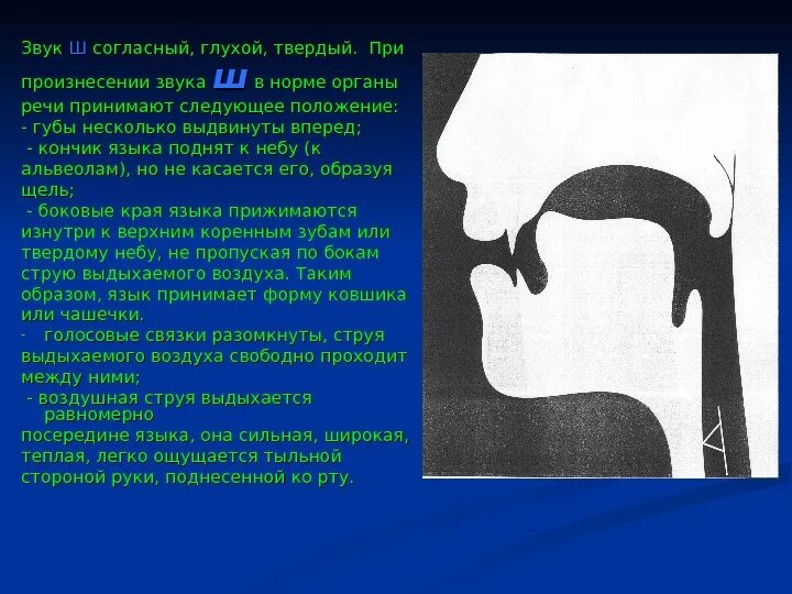 Как исправить горловое. Правильное произношение звука ш. Положение языка при произнесении звука р. Положение языка при звуке с. Положение языка при звуке р.