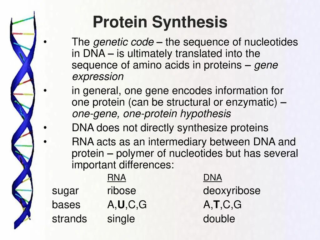 Coding dna. Genetic code protein. dna translation. dna sequence. genetic code dna to protein.