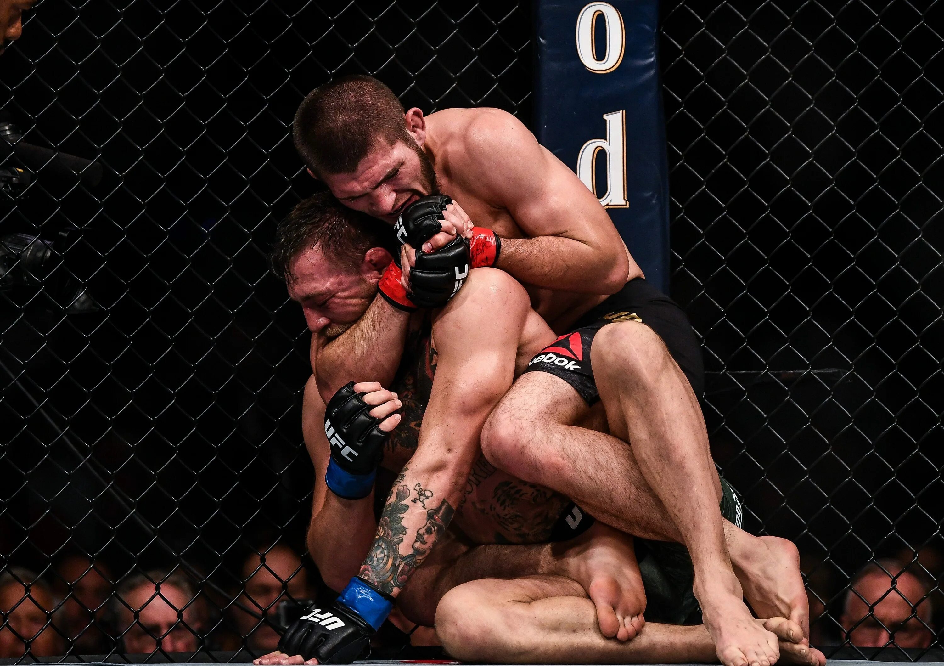 Ufc лучше
