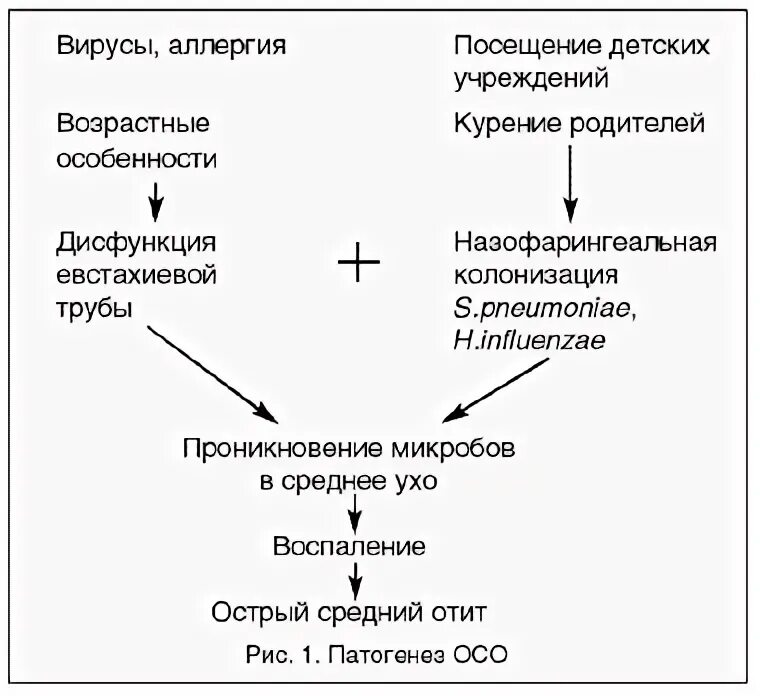 Патогенез хронического гнойного среднего отита. Патогенез острого гнойного среднего отита. Средний отит патогенез. Схема патогенеза острого среднего отита. Патогенез хронического среднего отита.
