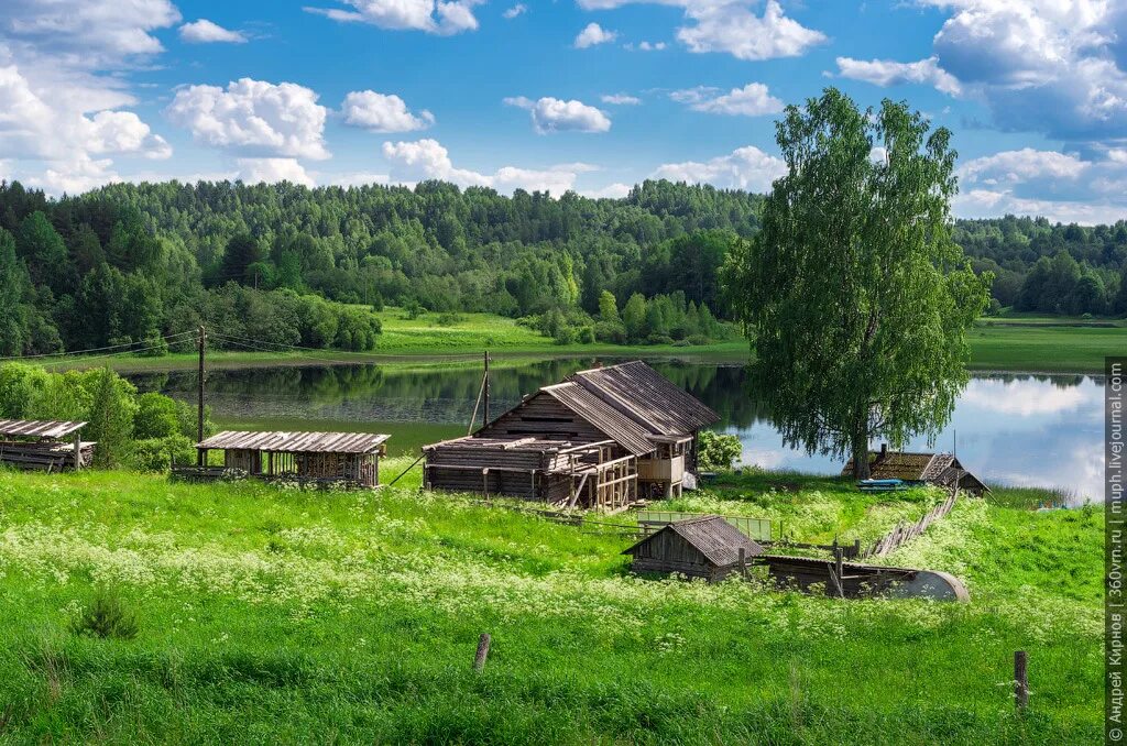 Деревни на Кенозере. Деревня Зихново Кенозеро. Деревня Зихново Боровичский район. Деревня Зихново Архангельской области.