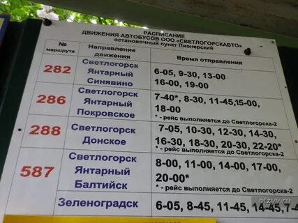 Расписание автобусов пионерский калининград на завтра