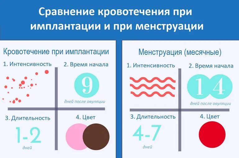 Кровь после полового акта при беременности