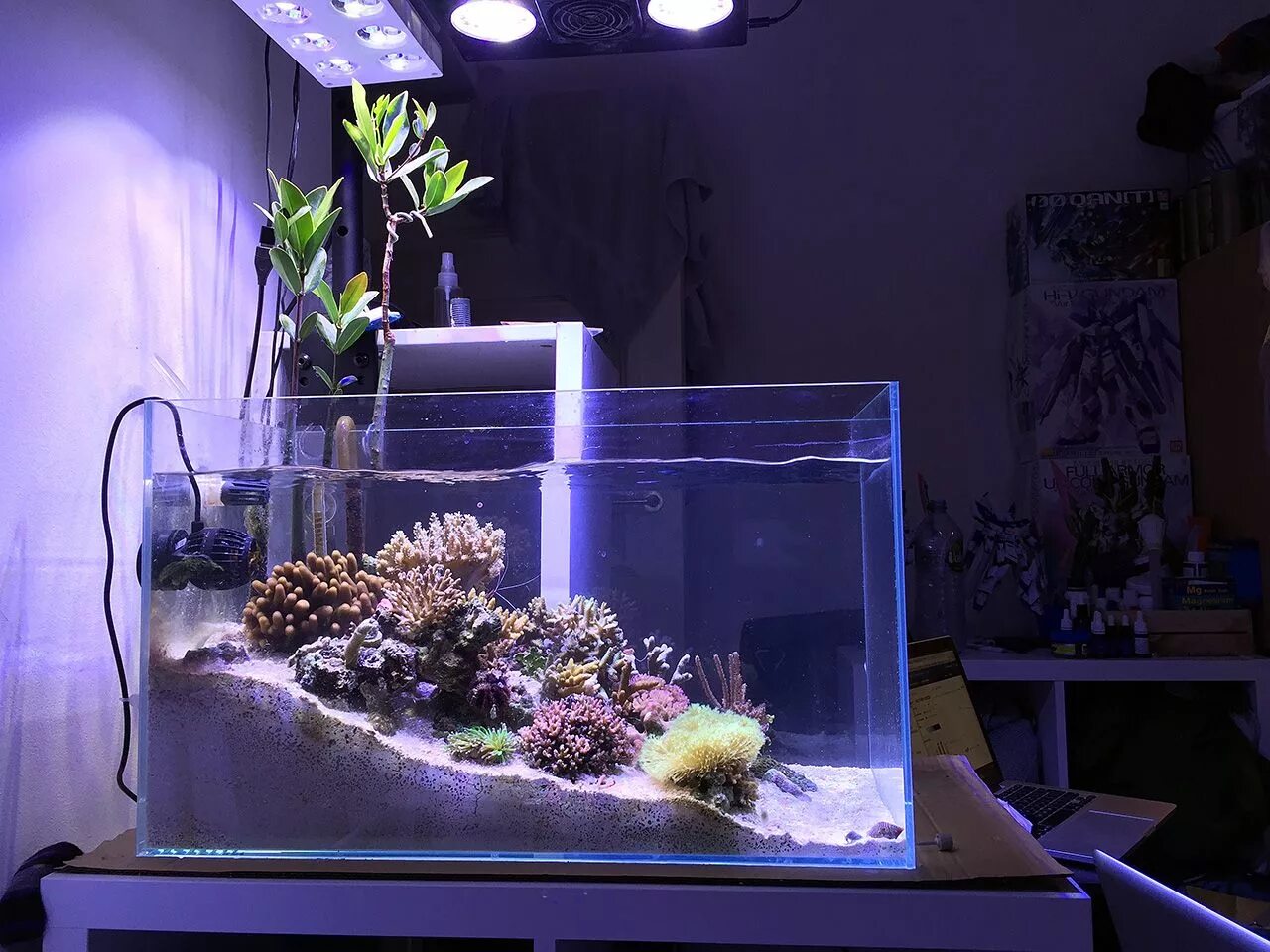 Аквариум Nano Reef. Акваскейп морского аквариума. Морской аквариум нано риф. Nano Reef Tank. Аквариум над водой