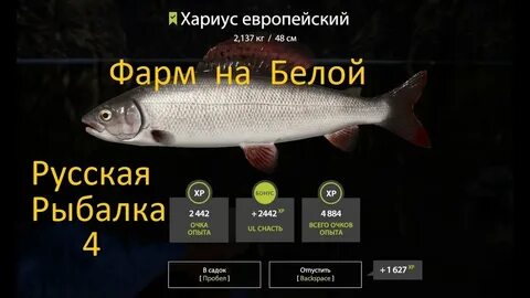 Рыбалка фарма