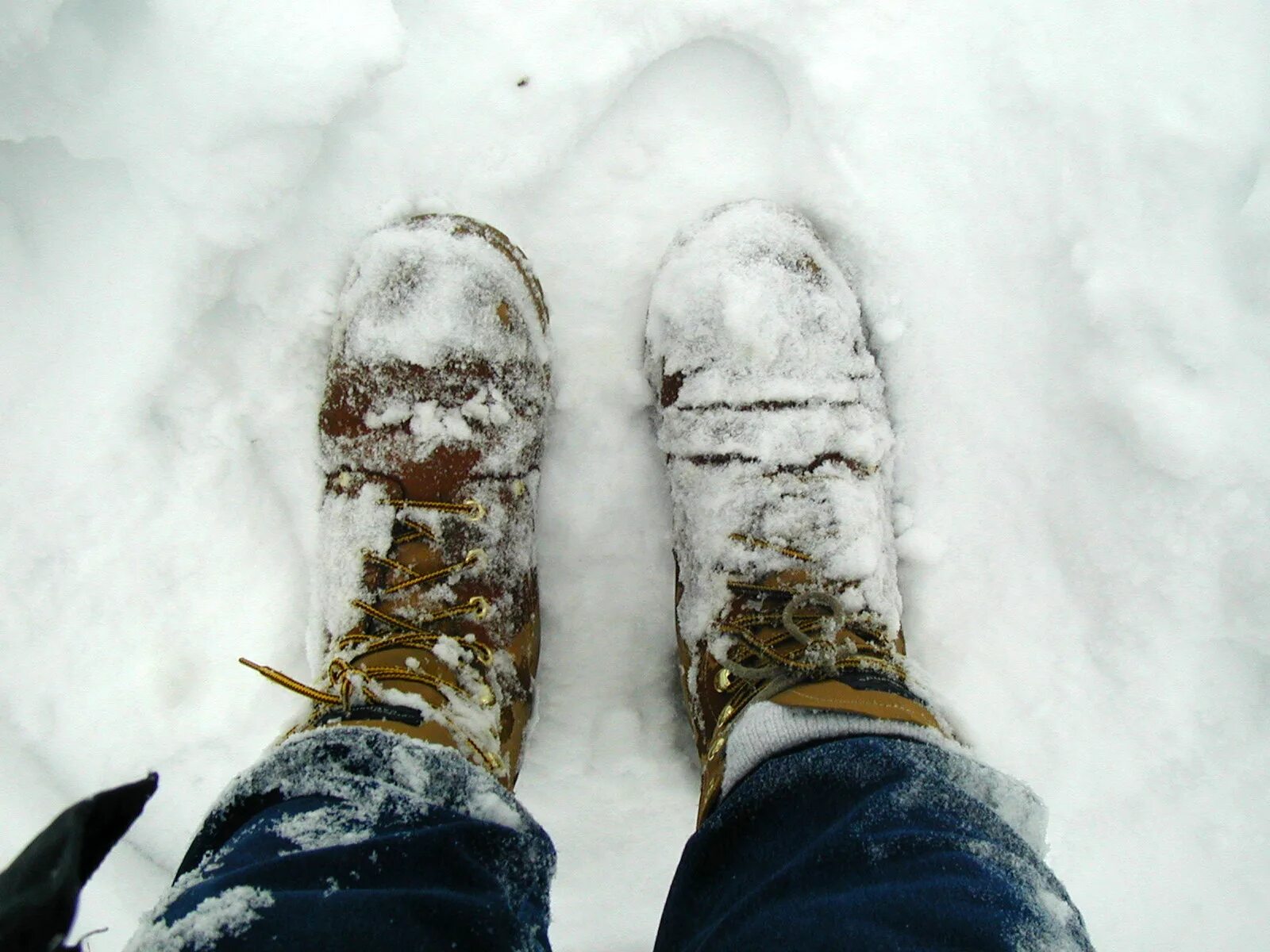 Ноги в снегу. Ботинки в снегу. Женские ноги в сугробе. Зимняя обувь на снегу.