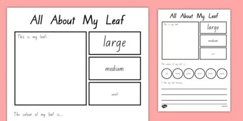 Mine leaves