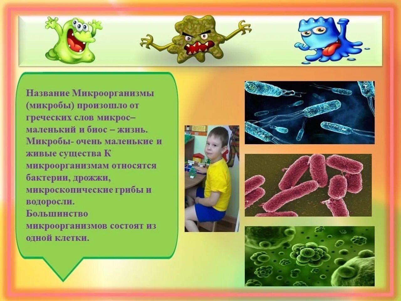 Тема бактерии и вирусы 5 класс. Микробы для дошкольников. Микробы информация для детей дошкольного возраста. Презентация микробы для дошкольников. Детям про микробы и бактерии для детей.