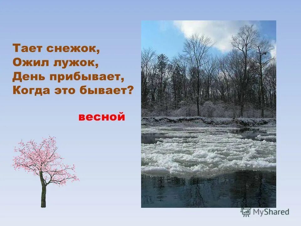 Что бывает весной. Картинка тает снежок, ожил лужок.