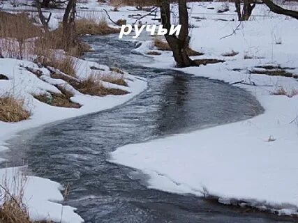 Картинка текут ручьи
