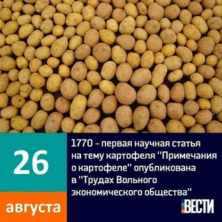 1 день картофель