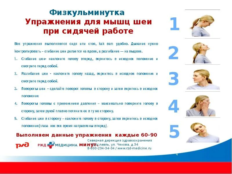 Комплекс упражнений для шеи. Упражнения для сидячего образа жизни. Упражнения для шеи при сидячей работе. Упражнения для разминки на работе. Упражнения в офисе при сидячей.