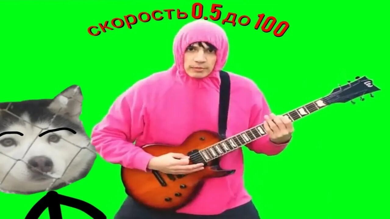 Блогер холли бам