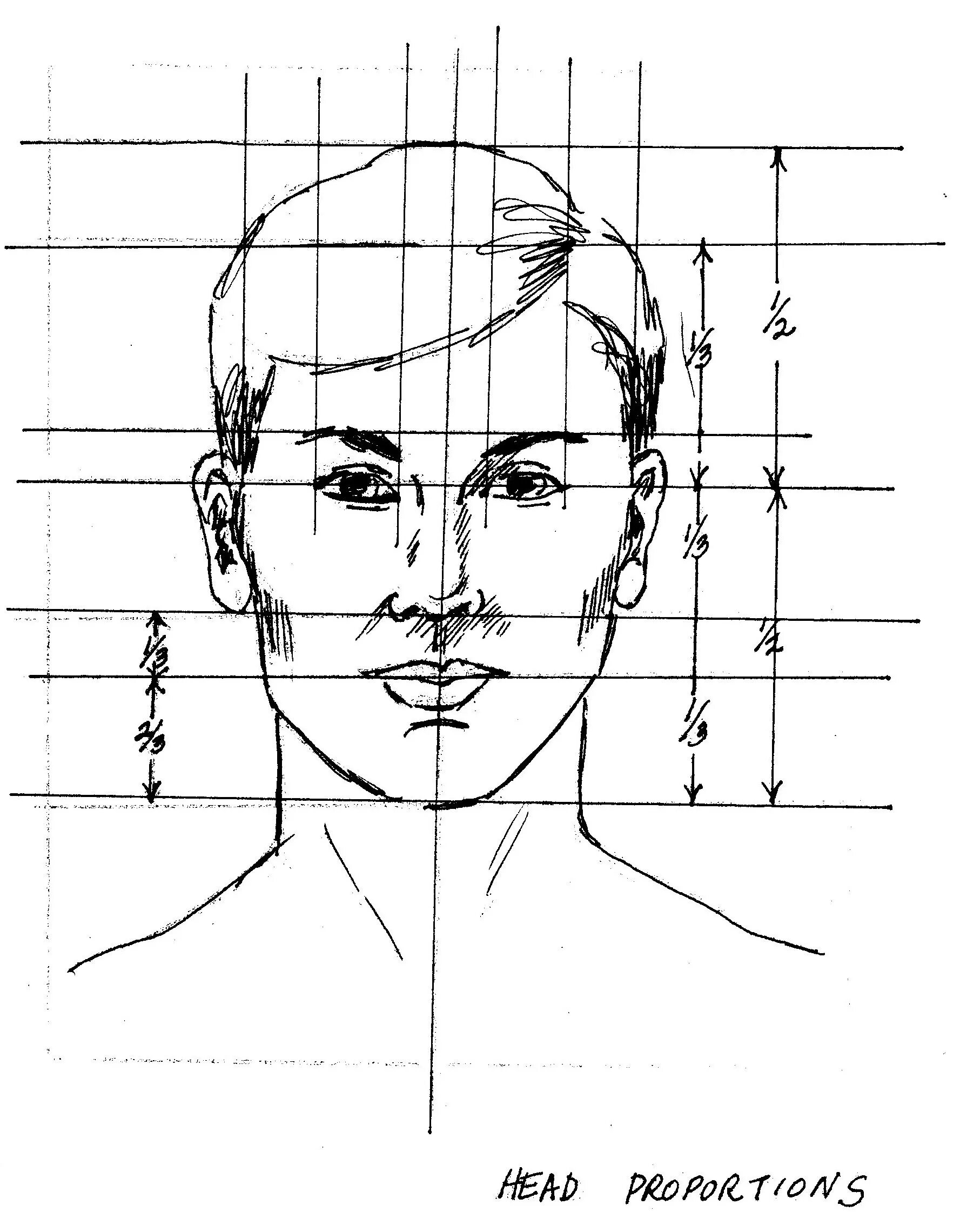 Лицо рисунок схема. Пропорции головы человека анфас. Пропорции лица человека профиль и анфас. Пропорции портрета человека. Портрет пропорции лица человека.