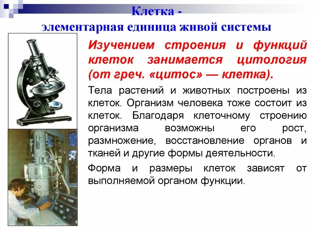 Методы изучения строения и функции клетки. Элементарная единица живого. элементарная единица живой системы. изучение строения и функций клетки занимается. элементарная единица строения это.