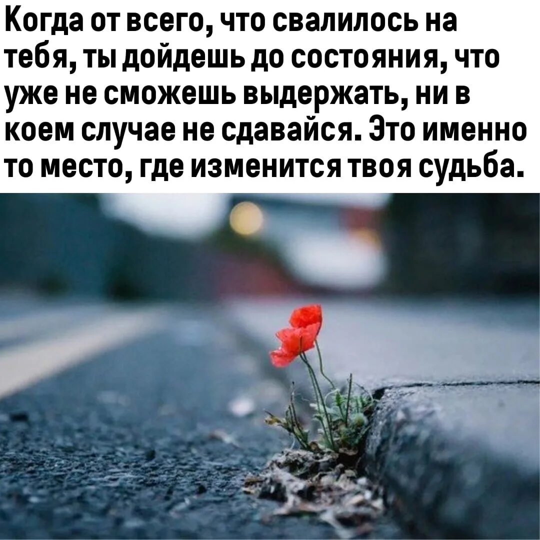 Умные цитаты. Дорога в будущее зависит от принятых тобою решений сегодня. Настоящие друзья цитаты. Когда все друзья отвернулись. Почему ты выбрал именно эту женщину.