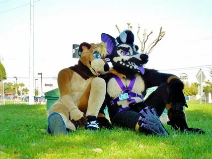 ...gay, interracial, inter-species, fursuiting couple: CHECK with. pic.twit...