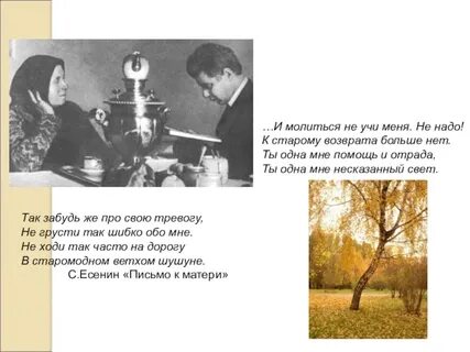 Стих есенина ты жива