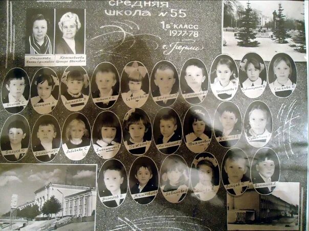 55 сш 83 вд