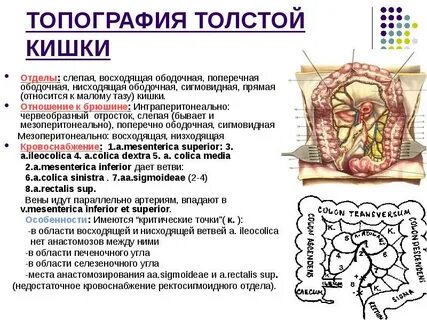 Топография отделов