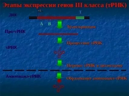 Перенос т