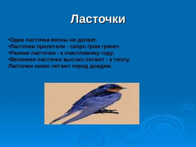 Одна Ласточка весны не делает. Одна Ласточка весны не делает значение. Пословицы одна Ласточка весны не делает. Одна Ласточка весны не делает значение пословицы. Пословица ласточка день начинает а соловей