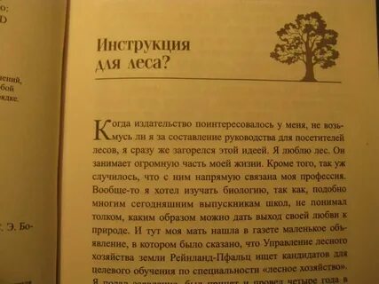 Лес шумел в этом лесу всегда стоял
