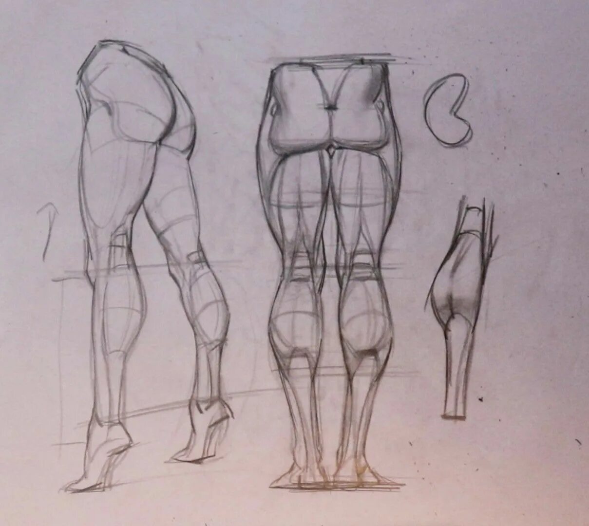 Фигура человека анатомия. Рыжкин анатомия конечностей. Коленный сустав анатомия Баммес. Баммес анатомия мышцы ног. Анатомия голень Рыжкин.