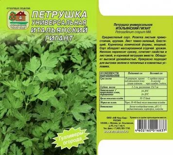 Сорт семян петрушки