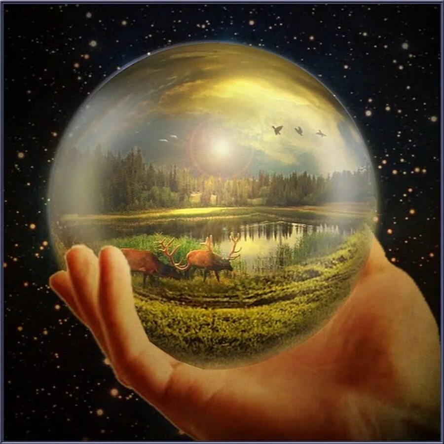 Экология земли. Защита экологии и окружающей среды. Человек и природа. Биосфера земная оболочка. Биосфера живая оболочка земли.